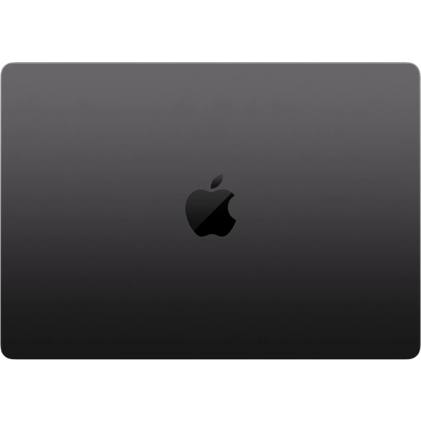 Ноутбук Apple MacBook Pro 14 (2024) M4 10c CPU, 10c GPU/24Gb/1Tb SSD (MCX04) Space Black фото 2