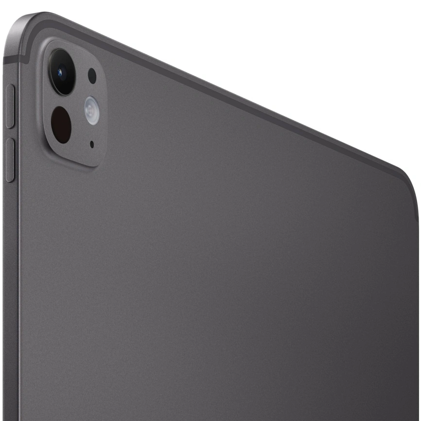 Планшет Apple iPad Pro 13 (2025) Wi-Fi + Cellular 256GB Space Black фото 2